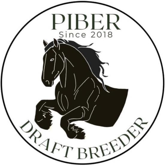 Piber Stud